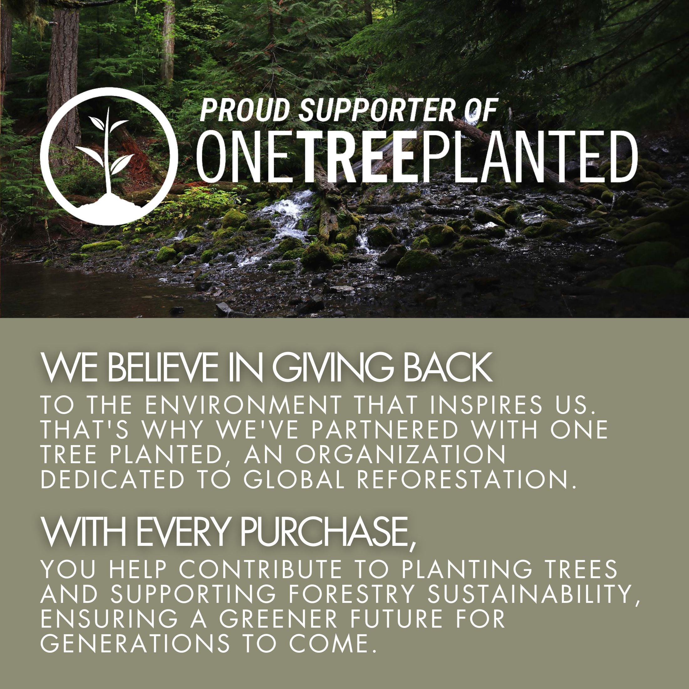 Telluride Oiled Teak Outdoor Patio Rocking Chair